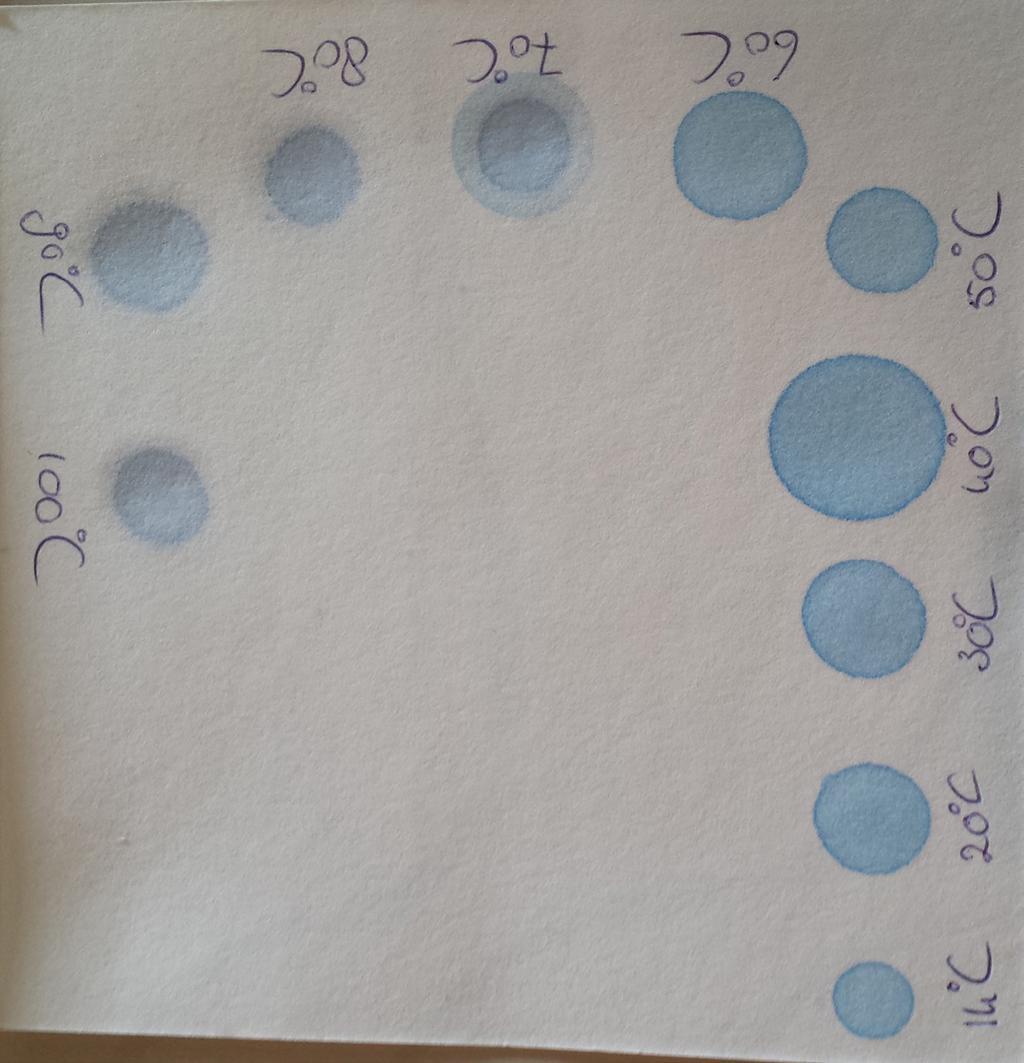 Figuur 1: Fycocyanobiline De blauwe chromofoor groep bij fycocyanine is het fycocyanobiline (zie figuur 1). STABILITEIT In de eerste test zijn de eigenschappen van fycocyanine bekeken.