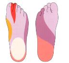 voeten Huid receptoren