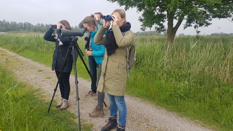 Avondexcursie Oostvaardersplassen Datum: 19 mei 2018 Gids: Pim Rond half zes haalde ik Hans en drie, naar later bleek, enthousiaste dames op van het station van Lelystad.