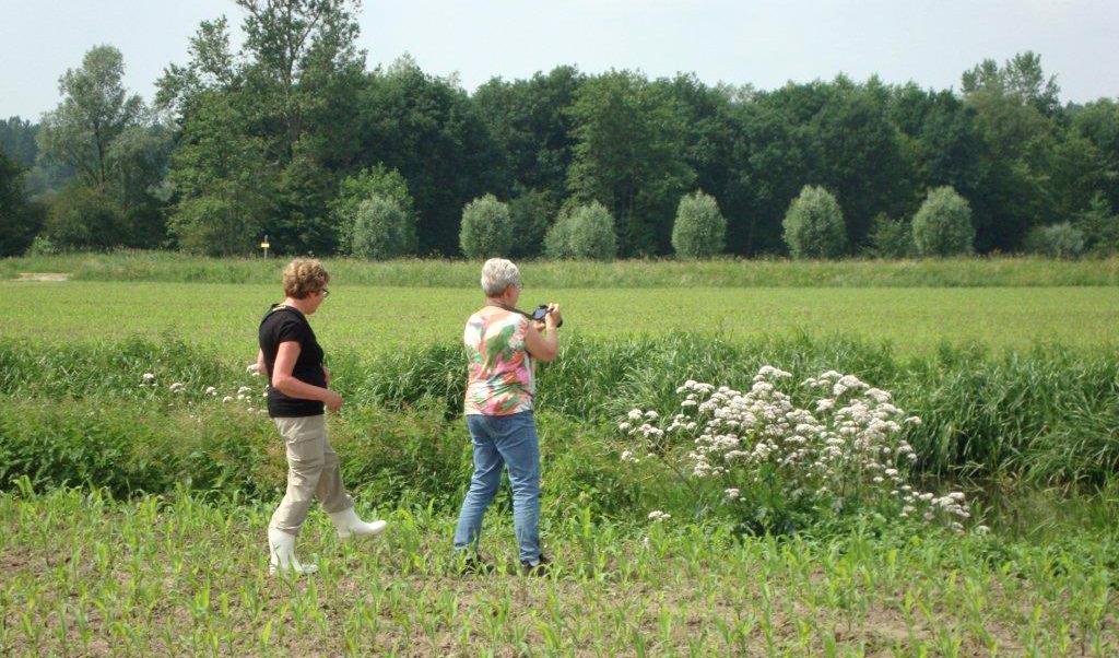 Bij groep 6 niet alleen belangstelling voor het gevogelte. Foto Lau Snels En verder. PDA We werkten nu voor het tweede jaar met de PDA.