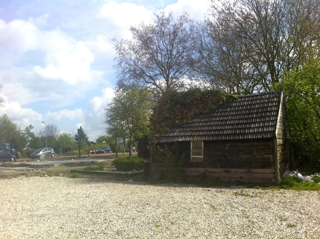 Resultaten Planten In het plangebied zijn geen beschermde soorten planten aangetroffen. Geschikte groeiplaatsen zijn niet aanwezig.