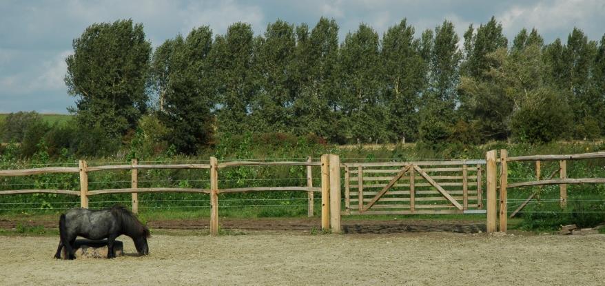 25,88 Ronde stoppaal 2,0m 2 mortaises 36,28 15/18 cm 3 mortaises 39,95 Kastanje liggers x 3,0 m 15à18cm ¼ gekloven 14,50