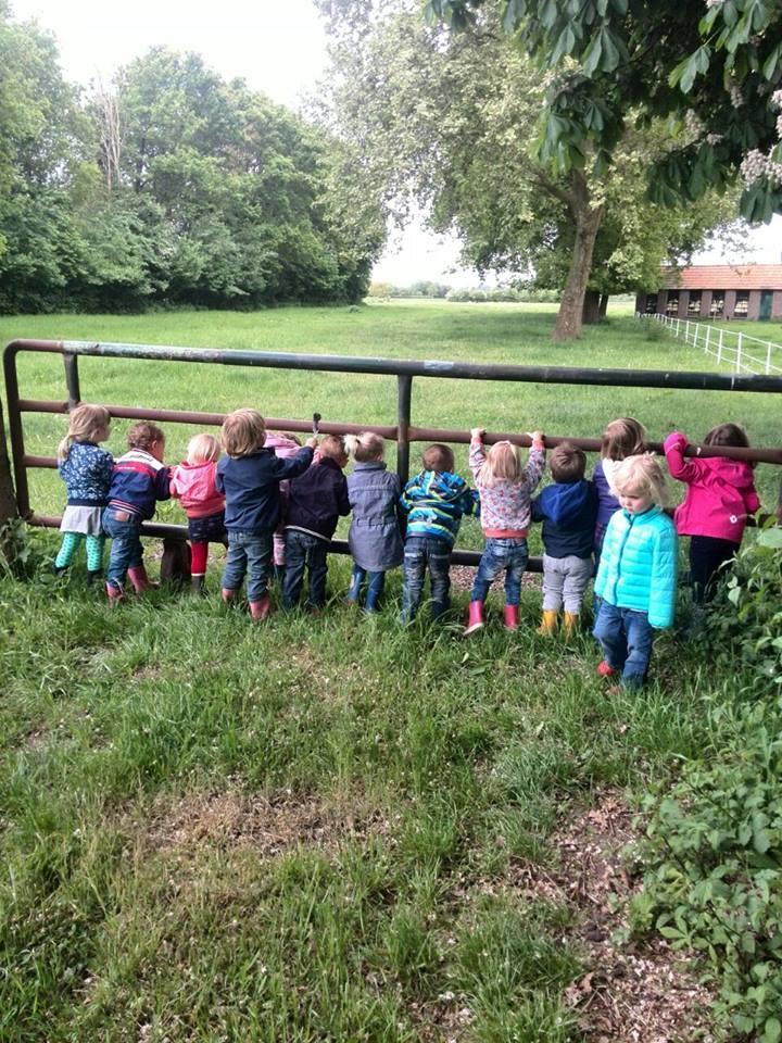 ONTWIKKELING VAN HET KIND In het kinderdagverblijf werken we aan voorschoolse educatie. Het werkplan dat wij hanteren is Startblokken.