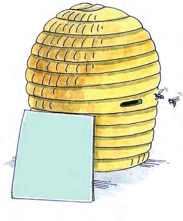 'It giet oan' Besluit tot vertrek Ondanks alle onderzoek is nog steeds niet precies duidelijk wat een bijenvolk er toe aanzet om te gaan zwermen.