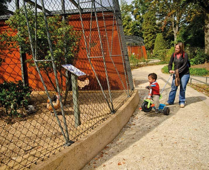 15 deelnemers RONDLEIDING IN HET DIERENPARK In 2010 is het dierenpark van het provinciedomein gerenoveerd.