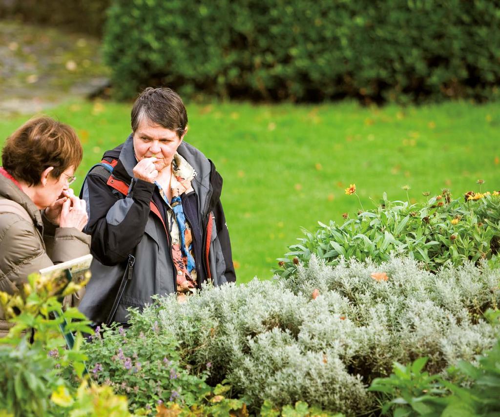 ANDERE DOELGROEPEN KRUIDENWANDELING Een vernieuwde, geleide wandeling, in het bijzonder geschikt voor blinden en slechtzienden, maar ook voor andere doelgroepen een boeiende rondleiding.