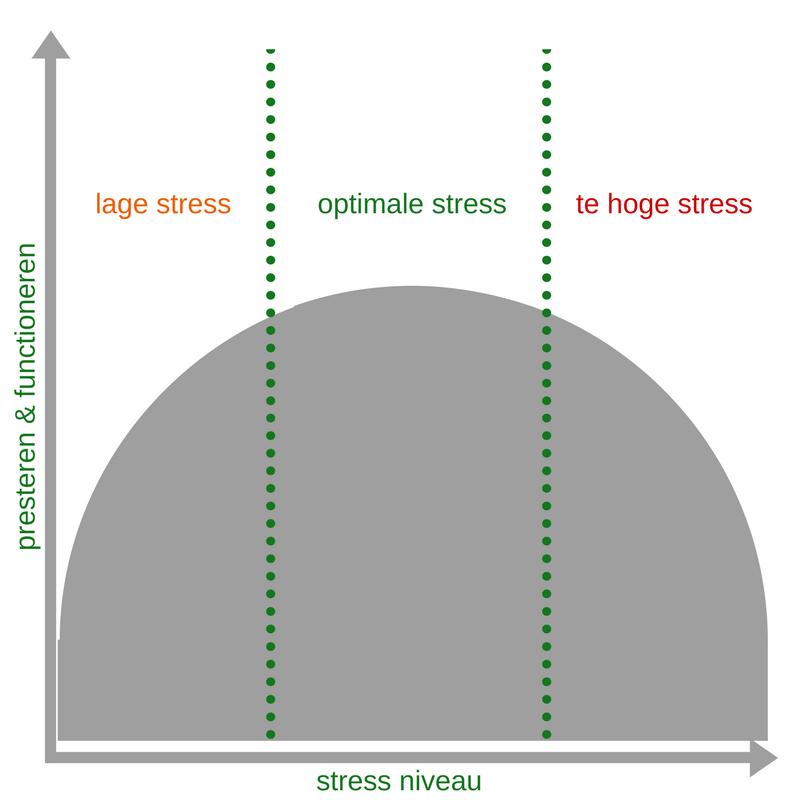 HOOGGEVOELIGHEID (H)ERKENNEN (schrijfoefening) Diepgaande verwerking van prikkels; stress (stressreacties in het belastbaarheidsmodel) Een individu zal het beste presteren, (.