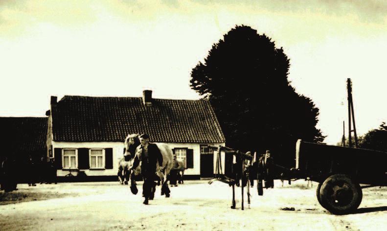 De driemaandelijkse Paardenschatting (=Taxatie van de paarden) werden voor Stramproy gehouden bij P.