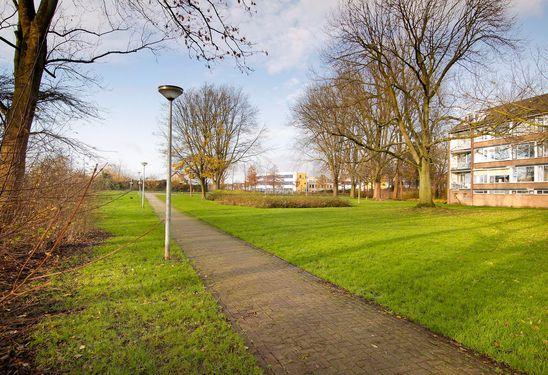 Ruime woning gelegen in een fraai gedeelte van Zijdelwaard Het is hier heerlijk wonen, omdat.