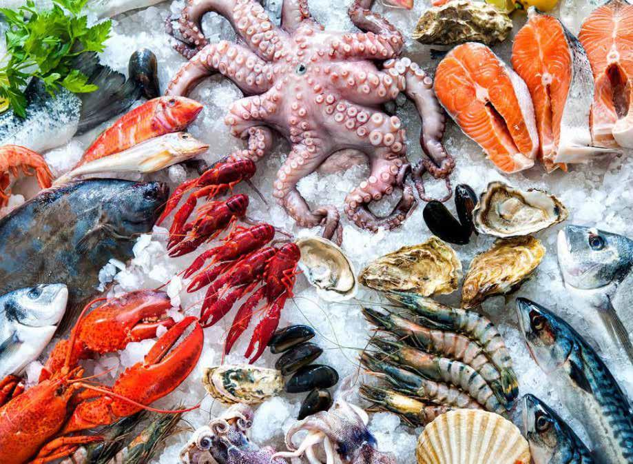 HOLLANDVIS HOLLANDVIS All our fish and shellfish come from the family business Hollandvis. For 36 years the Pronk family provides the finest products from the sea.