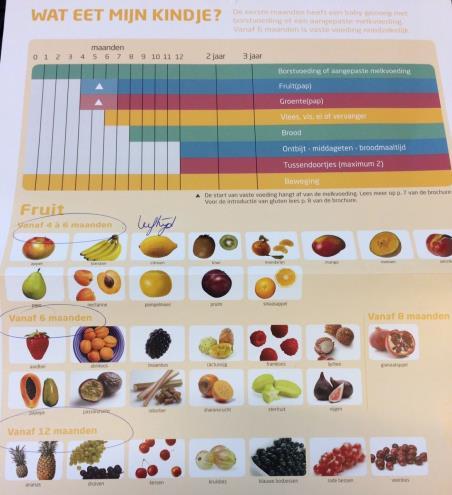 Introductie tussen 4 6 maanden Keuze van de ouder fruitpap of groentenpap.
