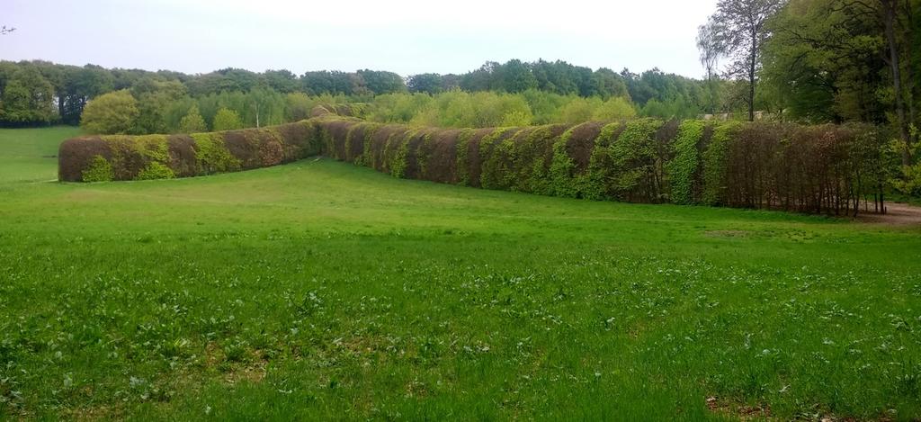 2. De Groene Bedstee Rond 1865 werd op landgoed Mariëndaal een Berceau aangeplant; een tunnel van haagbeuken waar de dames van het landgoed konden wandelen in de schaduw, zodat hun huid mooi blank