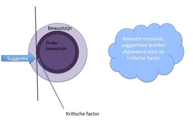 meer onze reflexen en het autonome zenuwstelsel. Hier wordt bijvoorbeeld onze bloeddruk en spijsverteringsstelsel bestuurd.