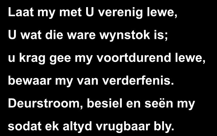 Laat my met U verenig lewe, U wat die ware wynstok is; u krag gee my voortdurend