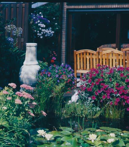 De eenjarige potplanten leven ervan op wanneer u s avonds ook de terrastegels of het balkon nat sproeit. De planten komen dan een tijdje in een zuil van langzaam verdampend water te staan.