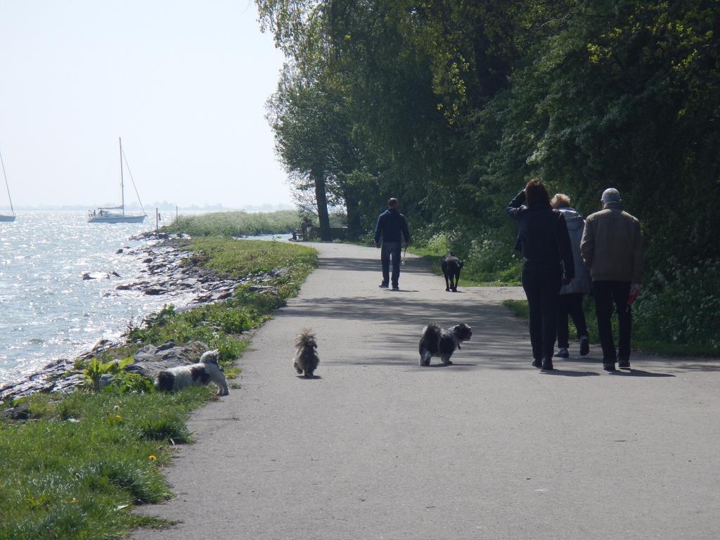 Foto 3: Hondenlosloopgebied in het Julianapark In de gemeente is het verplicht om hondenpoep op te ruimte.