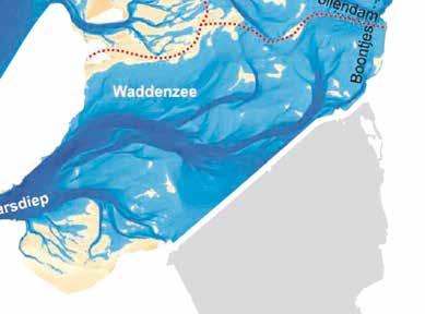 Sedimentatiepatronen Waddenzee (Bron: MER