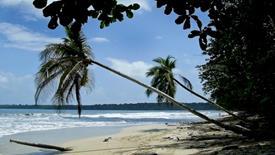 besteden op je gemak, relaxen op het strand, de lokale ambachtswinkels verkennen of een lekker genieten van een aantal heerlijke tropische cocktails en de reggae- en calypso-muziek. Tip!