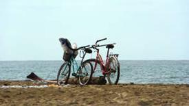 Inbegrepen: Begeleide snorkelen en natuurwandeling in het Cahuita National Park; vervoer; toegangsprijzen; snorkeluitrusting, accommodatie rondom Puerto Viejo.