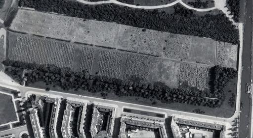 Het Nieuwe Veld van de joodse begraafplaats Zeeburg. Noord is op dit plaatje links, niet boven.