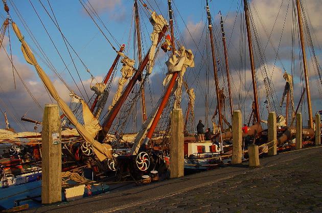 Haveninventarisatie 2015 35 Schiermonnikoog 4 Algemeen Naam van de kade onbekend Capaciteit 10 Afstand naar het centrum 10 minuten Lang parkeren mogelijk nvt Bewaakt parkeren mogelijk nvt Wifi nee De