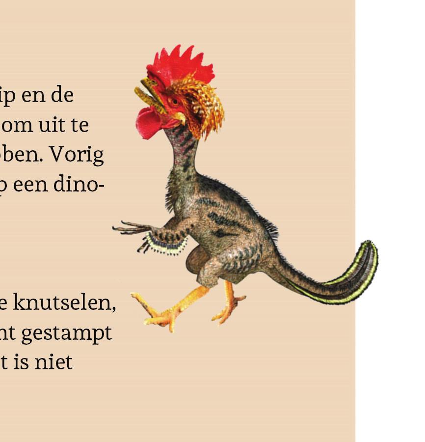 Paasboekje - 2 Lees de twee artikelen hieronder. Artikelen lezen Kipposaurus? Door Bouwien Janssen - Ze zijn verre familie van elkaar, de kip en de dino.