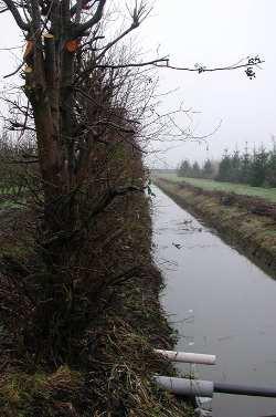 water + Ook bij nat weer begaanbaar