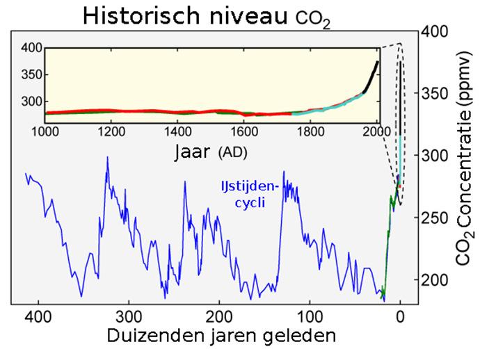 Koolstofcyclus Mineralen Gebrek of overmaat aan een specifiek mineraal geeft: Afwijkingen in bladvorm of kleur Vertraagde groei Verminderde conditie Verminderde weerstand tegen aantastingen