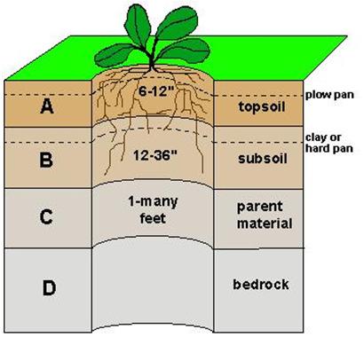 Oorzaken van bodemverdichting Verdichting van de bovenste bodemlagen (tot op 20-30 cm diep) of het voorkomen van verdichte lagen op 20-30cm diep: Kan natuurlijk voorkomen (podzol), maar wordt meestal
