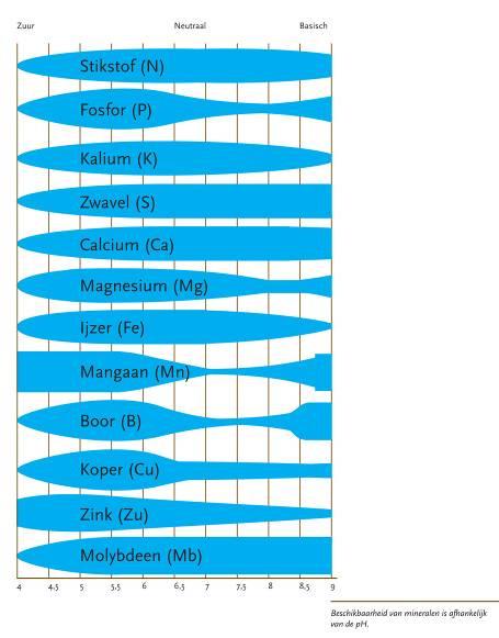 Mineralen en ph ph en bomen Niet alle bomen zijn even gevoelig voor hoge/lage/veranderende phwaarden (te vinden in de literatuur) ph en bomen Lichte