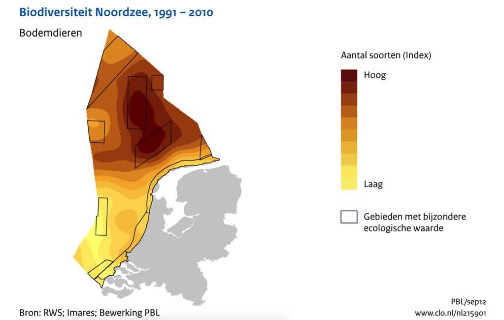 132 Benthos in de nabijheid van het plangebied: data in Sole Net Surveys (SNS) Tijdens platvis-surveys die worden uitgevoerd met een 6 meter boomkor worden ook bijvangsten van bodemdieren genoteerd.