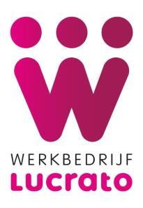 25% van de vml SW-bedrijven Zwaartepunt op werken via (detacheren, jobcoach) en werken dankzij