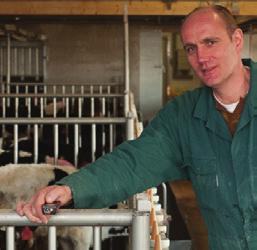 Krachtens de verordening dient de vleeskalverhouder tevens een bedrijfsgezondheidsplan en een bedrijfsbehandelplan op te stellen, waarin bijvoorbeeld afspraken met de dierenarts over