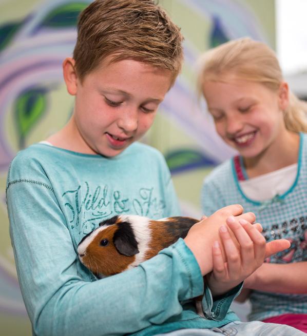 * De school is minuten voor en na schooltijd verantwoordelijk voor de leerlingen. Leerplicht en vrije dagen Wanneer uw kind de basisschool bezoekt valt hij/zij onder de leerplichtwet.