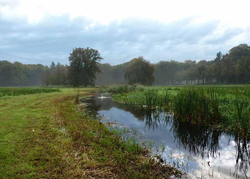 Impressie Beeklandschap Op de kaart ziet u alle plekken waar nieu natuur wordt aaneld, hoe dat er oneveer uit aat zien en voor lke dierensoorten de maatrelen bedoeld zijn.