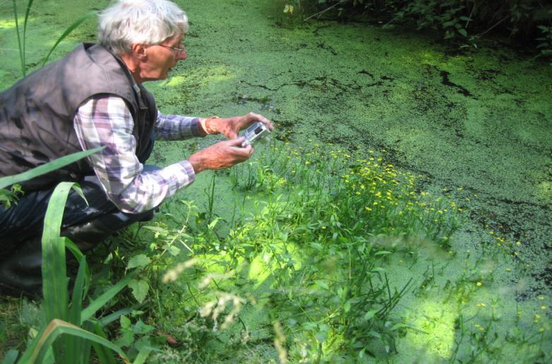 6 Bijzondere planten Het is bekend dat een aantal jaren geleden de sloten rond de percelen zijn gebaggerd. Het weiland perceel wordt ieder jaar gemaaid.