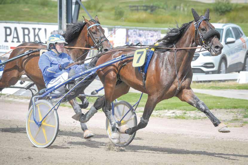 PROGRAMMA WOLVEGA (17), VRIJDAG 20 JULI 2018 3 CHAMPIONNAT D ÉTÉ (FINALE PAYDAY WINNER CHALLENGE) 17.40 U. Draverij van meet.