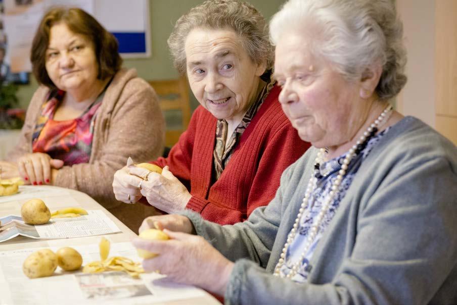 Memo expertisecentrum dementie provincie Vlaams-Brabant zorgregio's Brussel en Leuven Wingerdstraat 14 3000 Leuven t 016 50 29 06 f 016 20 44 45 Molenhofstraat 31 1670 Heikruis t 02 398 00 18