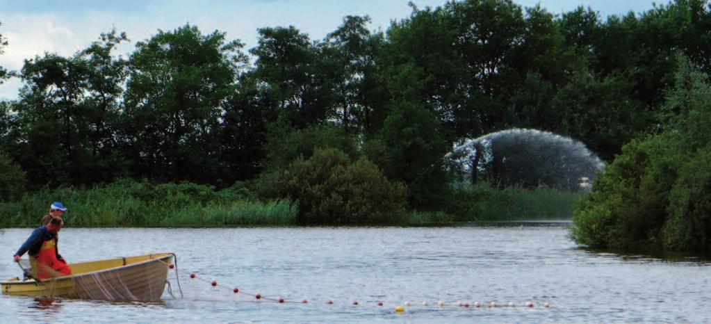 Vervolg Commissie Water en Visstandbeheer (CWV) 2017 De VBC Lauwersmeer bestond in 2017 uit: Voorzitter: Herman Dirks