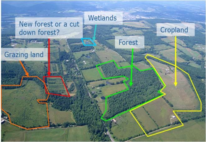 LULUCF: Land-use use, Land-use change & forestry Categorieën (categories) Beheerde bosgrond / Managed Forest land Beheerd bouwland* / Managed cropland Beheerd grasland / Managed grassland Bebouwde