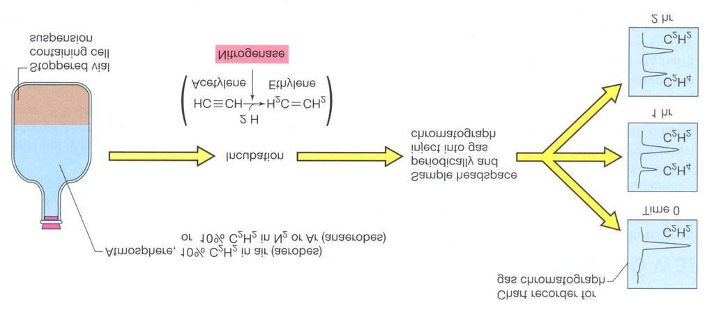 Nitrogenase assay: