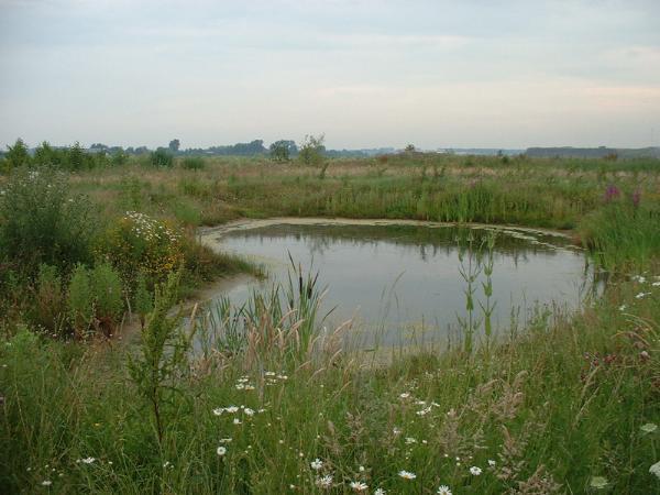 Voor een auto-ontsluiting is dit bestaande landschapselement ongeschikt.