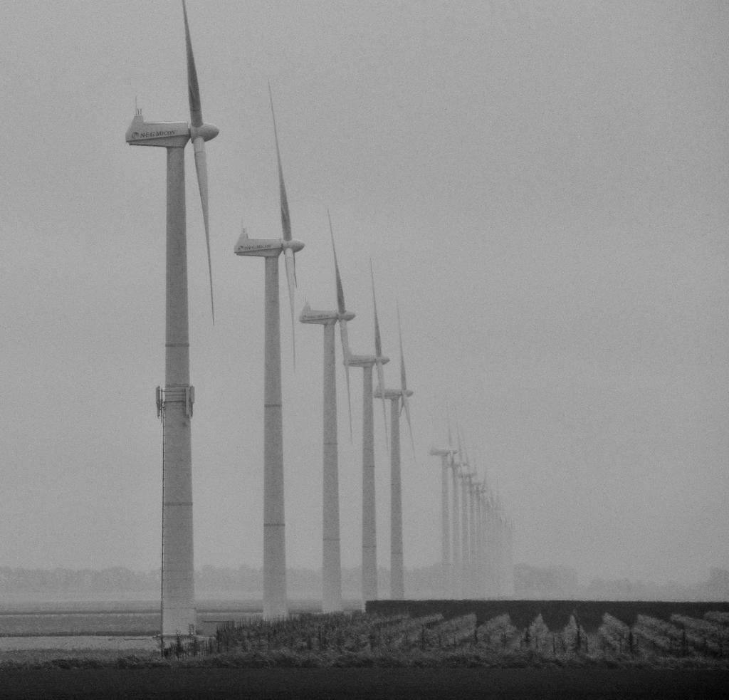 De Groetpolder staat vol met gigantische