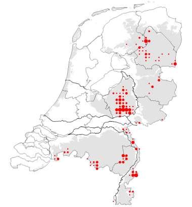 Verspreiding en status in Nederland Rode Lijst: bedreigd Oorzaken: grootschalige ontginning heide en hoogveen; bebossing versnippering verdwijnen hoge en droge