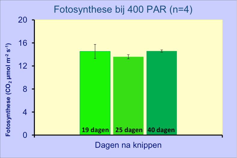 Daarnaast is een CO 2 response gemeten bij een vast lichtniveau en wisselende CO 2