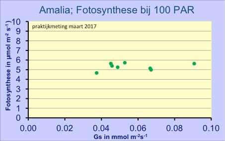 5.2. Anthurium 55 Figuur 5.11. Response van de fotosynthese bij constant licht en CO2 bij verschillende Gs.