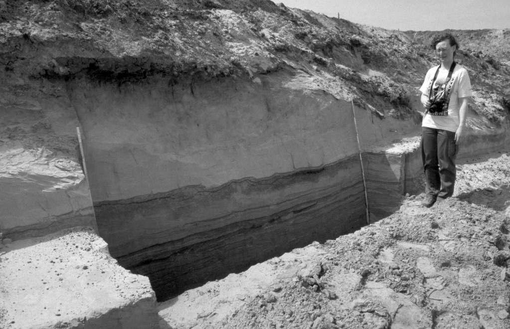 5 Figuur 4. Beeld van de bodemopbouw ter hoogte van de finaal-paleolithische site van Verrebroek Dok 2. De bovenste donker bruingrijze laag dateert uit de late Bølling-Oude Dryas.