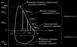 Inspiratoire curve Welke waarden gaat men weerhouden Welke waarden gaat men weerhouden MEN WEERHOUDT DE