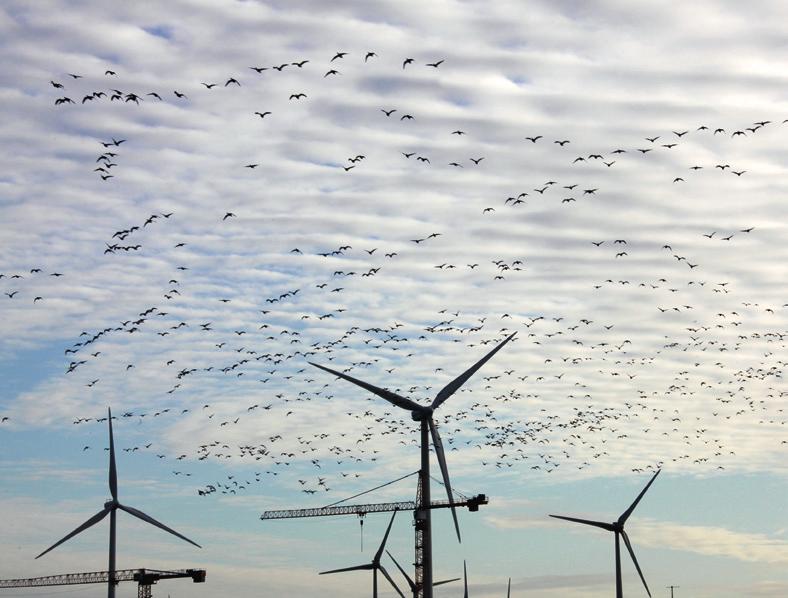 Doen is Groen! Duurzame energie Per jaar wordt door Groningen Seaports 2.100.