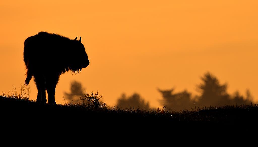 Bedankt voor uw aandacht Meerderheid foto s : Ruud Maaskant, PWN Kraansvlak www.